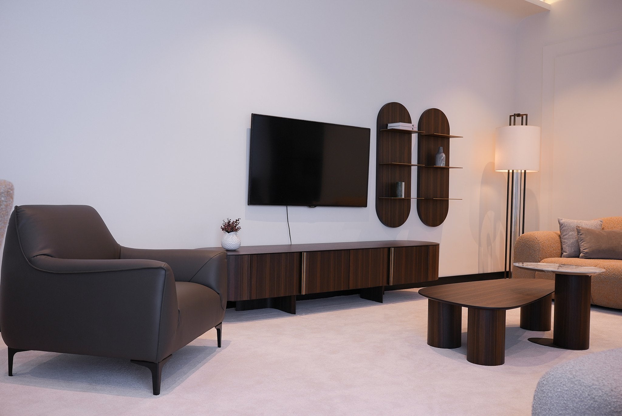 Unitate TV Regal