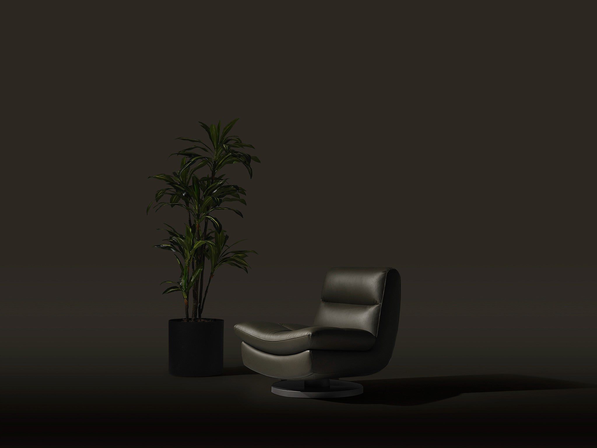 Bergere Elegance