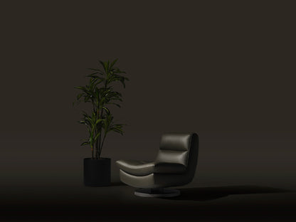 Bergere Elegance