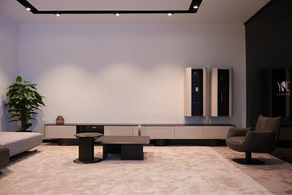 Unitate TV Orion